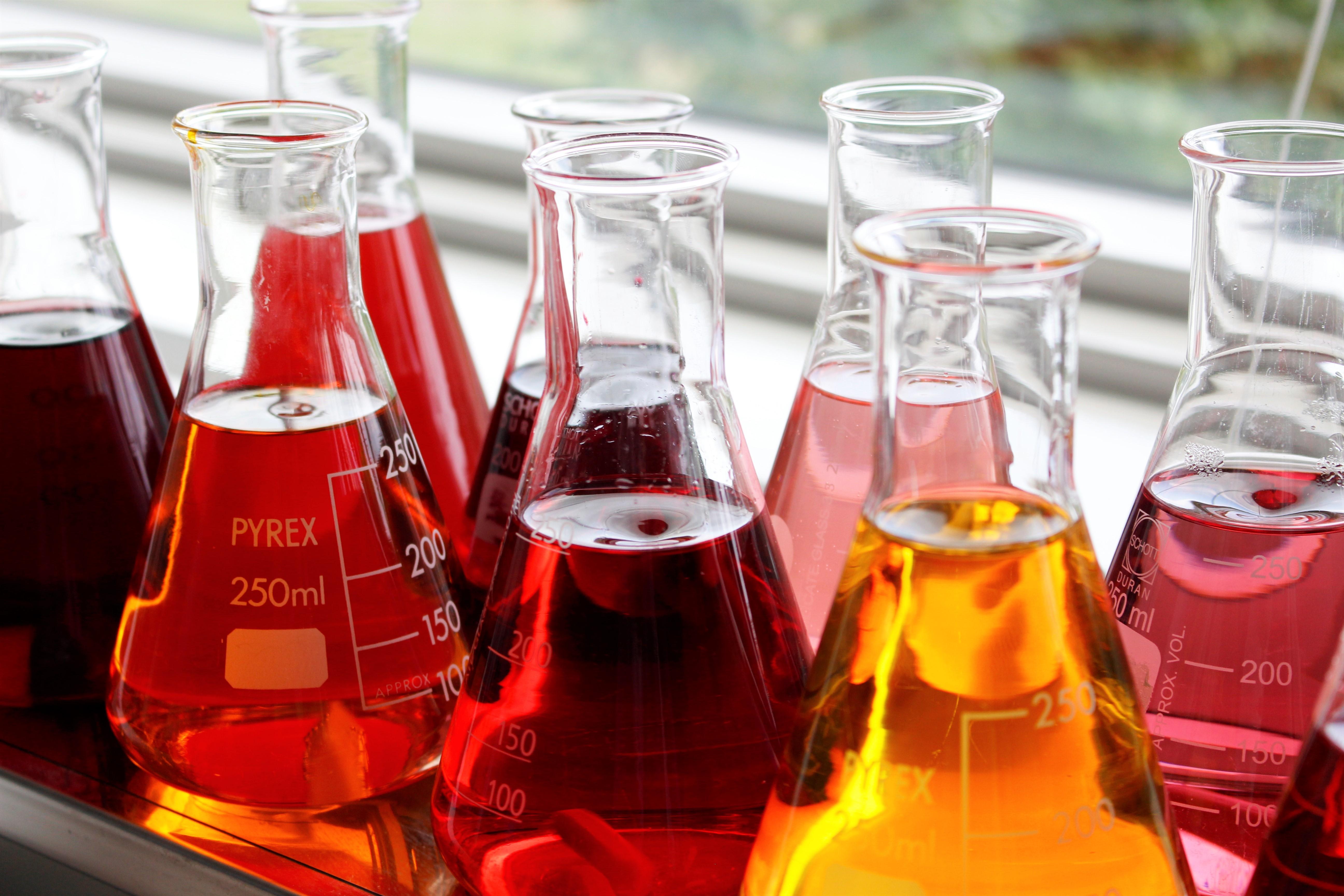 Chr Hansen Reception 3